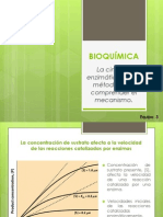 6.3 Bioquimica