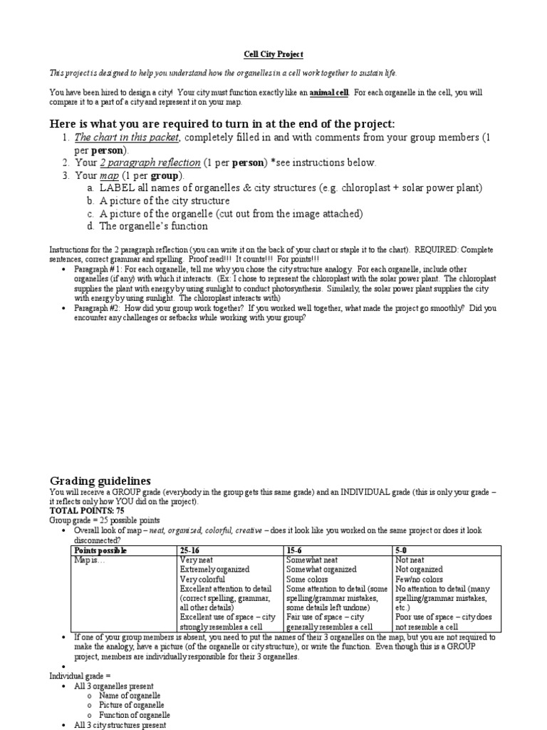 Cell City Project Documents | PDF | Organelle | Cell (Biology)