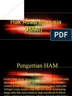 Download Hak Asasi Manusia by soeparsono SN21950796 doc pdf