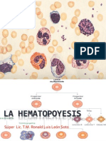 Clase 05 Hematopoyesis Celulas Maduras e Inmaduras