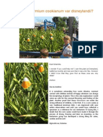 New Flax Species Phormium Cookianum Var Disneylandii