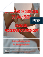 Proceso de Curacion-FASES