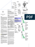 476 Plus Detector Miscare Paradox