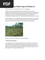 Download Seri Budidaya Buah Naga Di Kebun by Anonymous SQ4pNlzj0D SN219527544 doc pdf