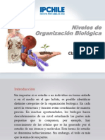 Bases Biológicas