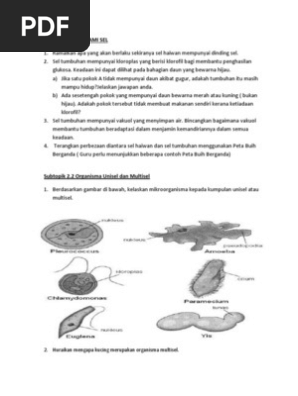 Soalan Kbat Sains Tingkatan 1 Bab 2 Pdf