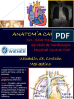 Anatomia de Cavidades y Valvulas