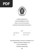 Download LAPORAN PENDAHULUAN DHF by Prima Sharah Sekarini SN219542508 doc pdf