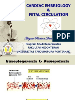 Embriologi Jantung