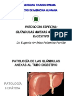 4ta Teo de Pato Patología Glándulas Anexas Al Tubo Digestivo