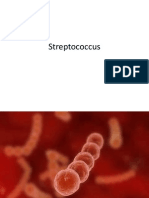 Streptococcus.pptx