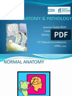 CT Head Anatomy & Pathology