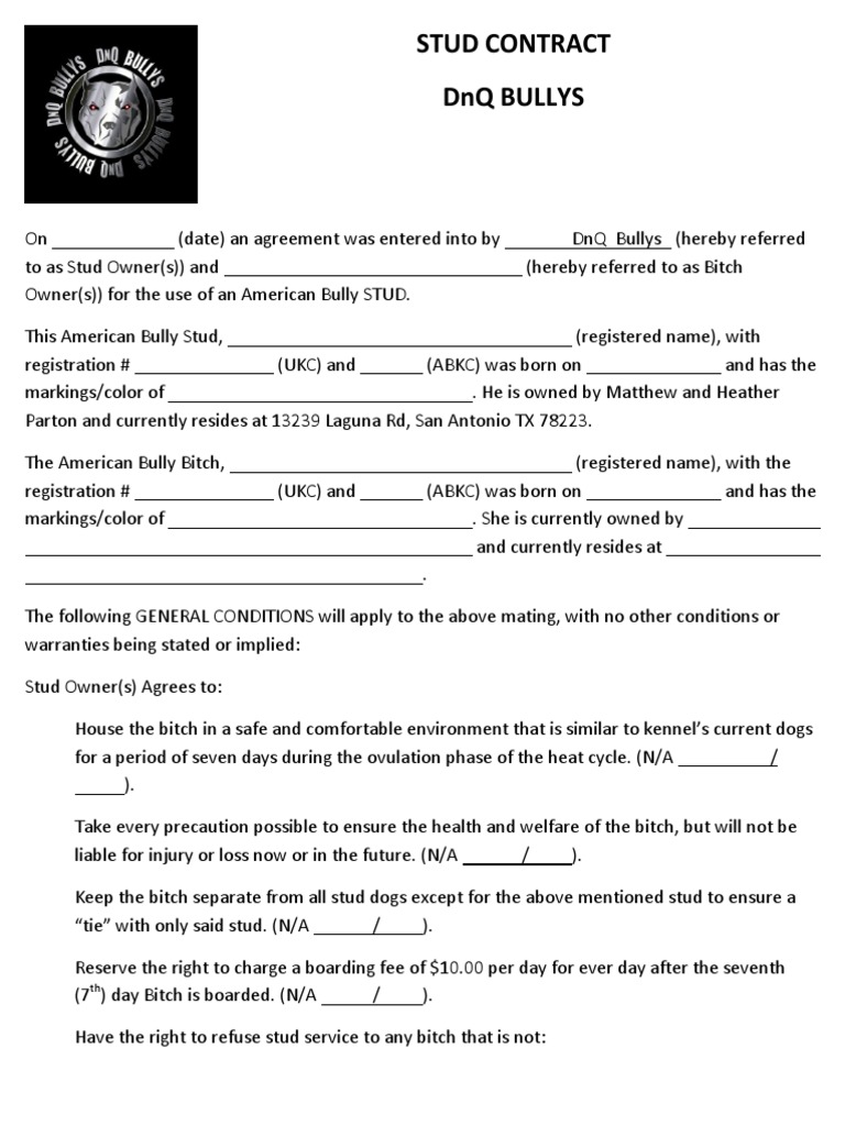 dnq-bullys-stud-contract-pdf-horse-breeding-dogs