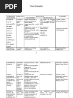 27758658 Plan de Ingrijire Hta