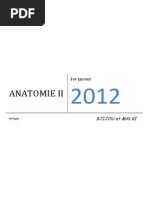 Anatomie Bjijou Et Malki doc