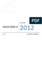 Anatomie Bjijou Et Malki