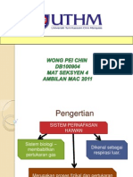 Sistem Pernafasan Haiwan