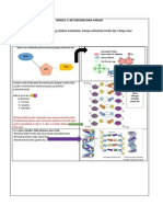 Modul Bio Fasa 2