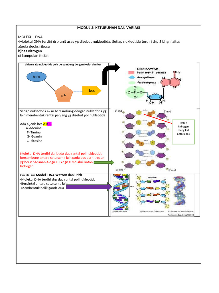 Modul Bio Fasa 2 | PDF