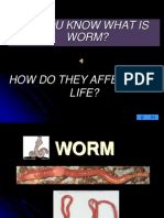 Worm Slide Show2