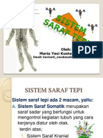 Sistem Saraf Tepi