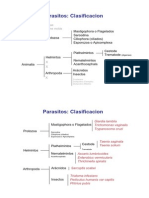 Parasitos Protozoos - Microbiologia Farmacia