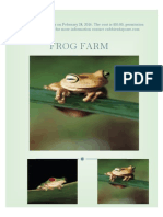 Frog Face Flyer