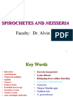 Spirochetes and Neisseria Faculty: Dr. Alvin Fox