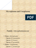 Mycoplasma and Ureaplasma