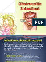 Obstruccion Intestinal Final