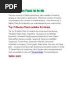 Kerala municipal building rule  Specification (Technical 