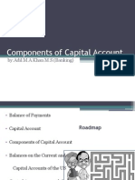Components of Capital Account