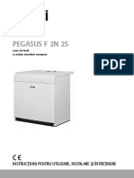 Cazan Ferroli Pegasus f2n2s