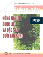Trong Cay Duoi Tan Rung-VRS