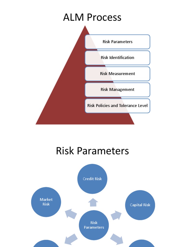 Risk Parameters and Currency Risk | PDF | Asset Liability Management ...