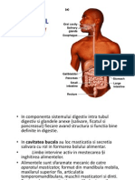 Aparat Digestiv I