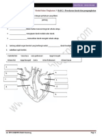 MODUL Bab 2 - Peredaran Darah Dan Pengangkutan (1)