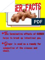 He Carminative Effects of GINGER Helps To Break Up Intestinal Gas. Inger Is Used As A Remedy For Congestion of The Sinuses and Chest