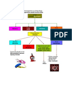 Understanding Microorganisms and Their Role in Food Chains