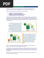 Destilacion aceites escenciales