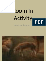 Zoom in Activity