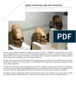 DNA de Cranios Alongados Revela Que No So Humanos