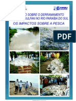  Relatório Acidente SERVATIS - DERRAMAMENTO DE 8 mil litros de AGROTÓXICO NO RIO PARAÍBA DO SUL-RJ / Capa Derramamento de Agrotóxico no Rio Paraiba do Sul - RJ / Capa Relatório FIPERJ
