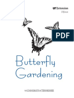 Butterfly Garden