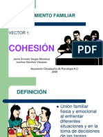 Funcionamiento Familiar Cohesion