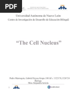 Download The Cell Nucleus by hutterinc SN21994834 doc pdf