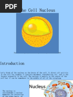 Download The Cell Nucleus by hutterinc SN21994915 doc pdf