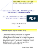 Aula 8 - Aprendizagem Organizacional e Teoria Geral Dos Sistemas