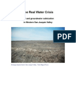 The Real Water Crisis: Soil and Groundwater Salinization in The Western San Joaquin Valley
