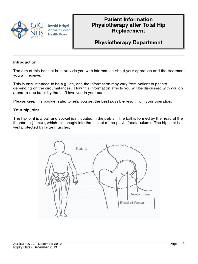 Hip Replacement Physiotherapy After Total Hip Replacement PDF Hip